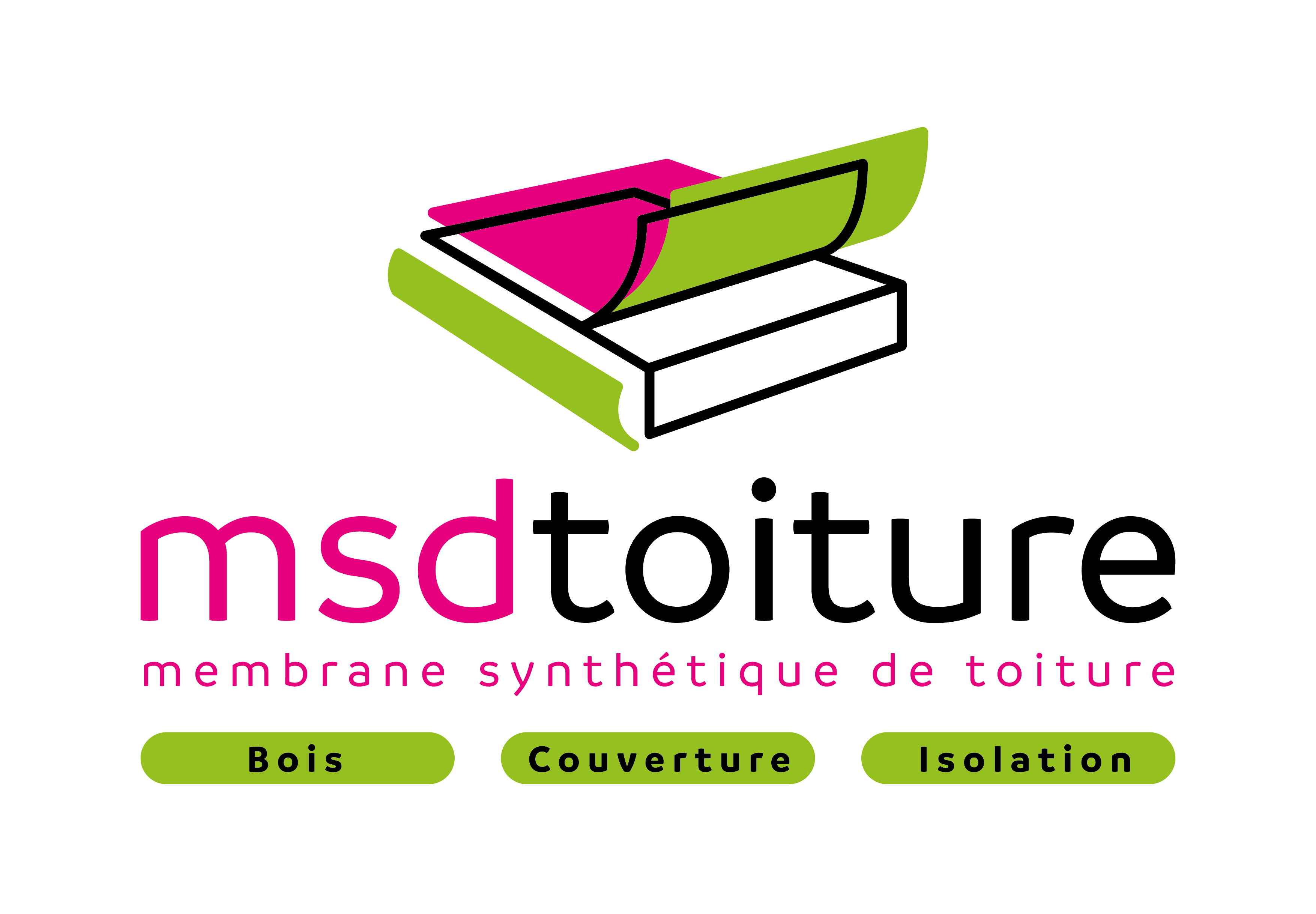 Logo MSDT