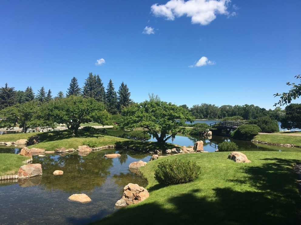 codaf_societe_negoce